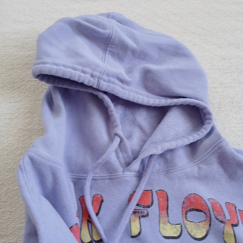 pink floyd ♡ dark side of the moon band hoodie y2k grunge indie festival prism - Picture 5 of 8